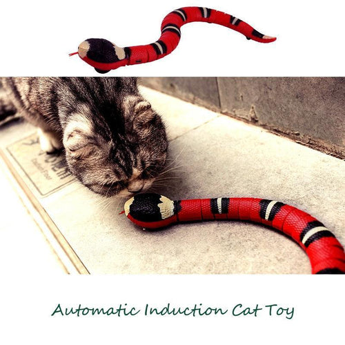 Snake Toy