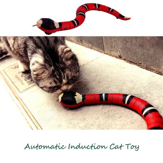 Snake Toy