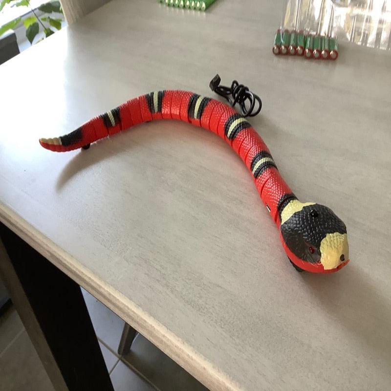Snake Toy